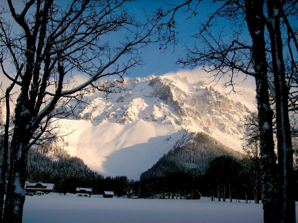 Pension Bergpracht Ramsau am Dachstein Eksteriør billede