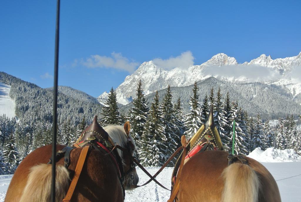 Pension Bergpracht Ramsau am Dachstein Eksteriør billede